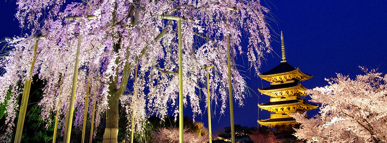 株式会社malbadesign