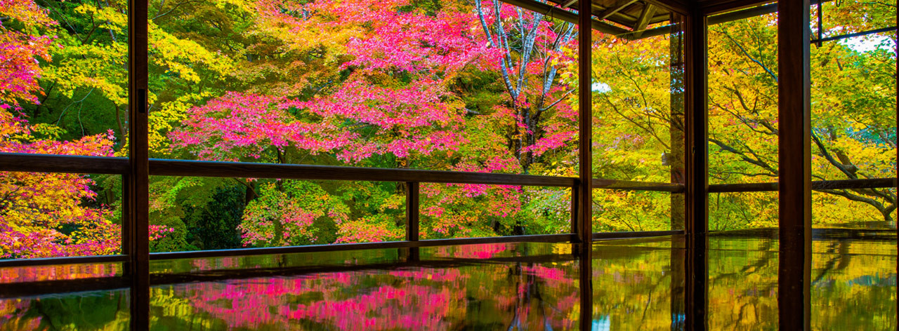 株式会社malbadesign